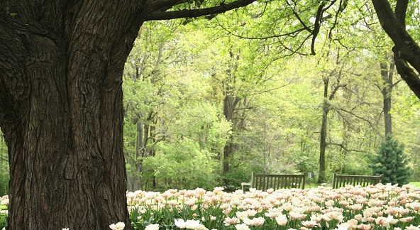 Do you enjoy having a front-row seat to the changing seasons