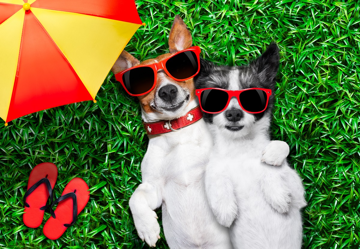 Say Hello To Summer And Say Goodbye To Hot And Humid Weather With Shaded Comfort From Deck Plus